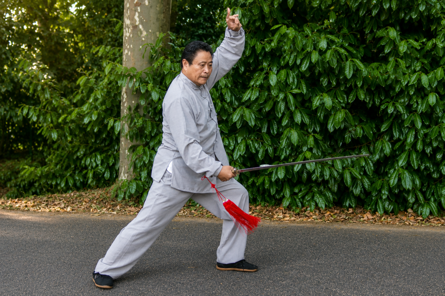 Pratique du Taïji Quan – photo 4